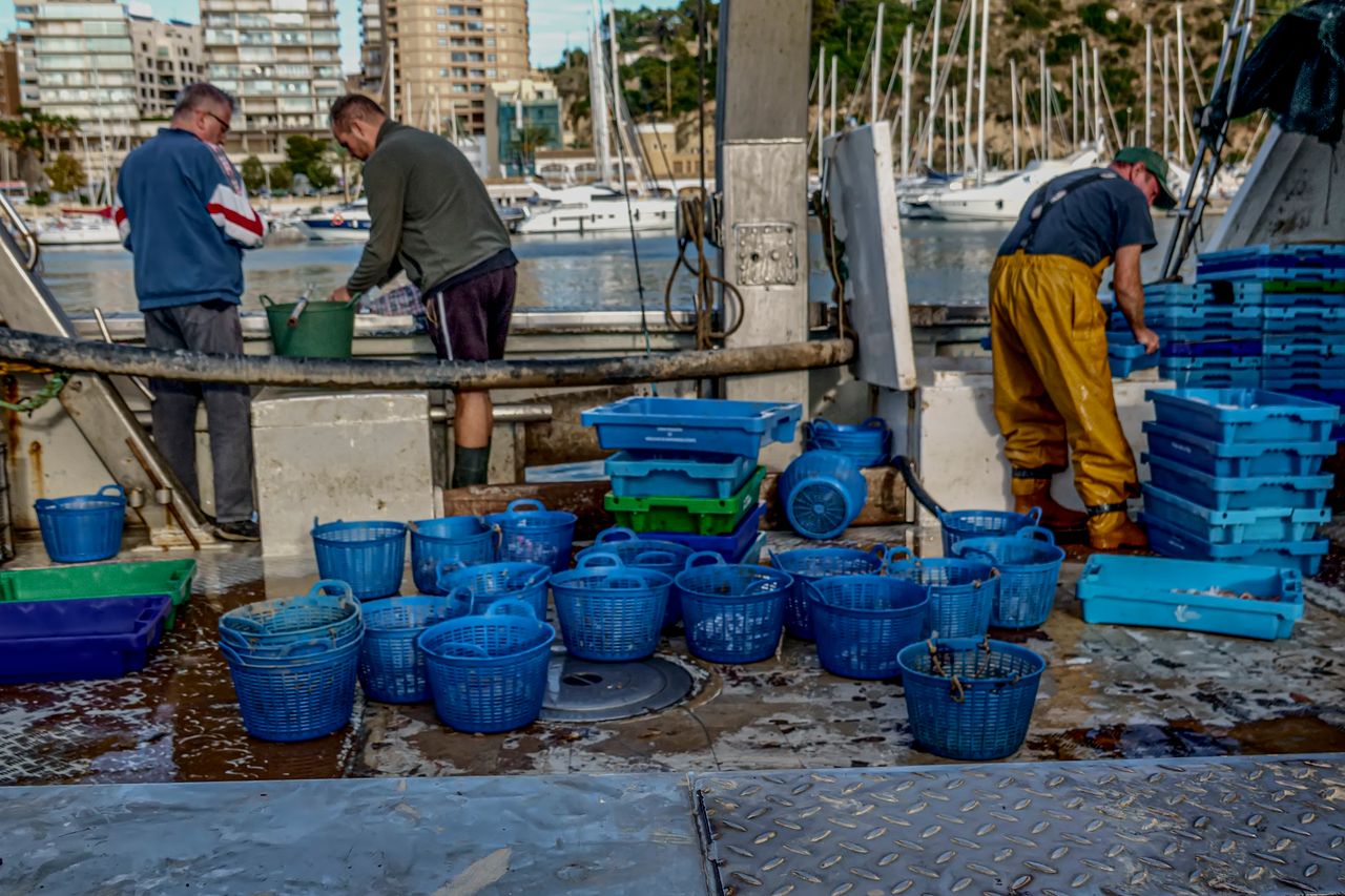 Three men working on a harbour quayside surrounded by dozens of empty blue baskets and stacked crates, with a marina full of moored yachts behind them.