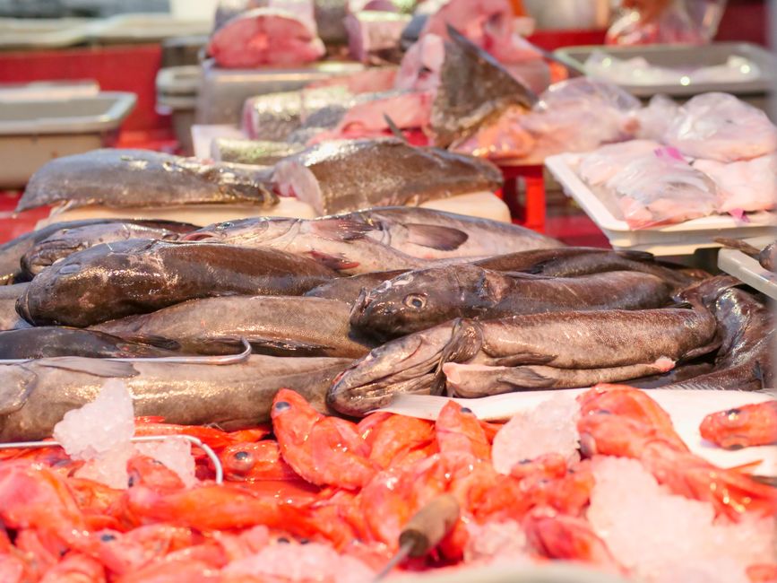 A wet fish market counter, whole fish and shellfish laid out in rows on crushed ice.